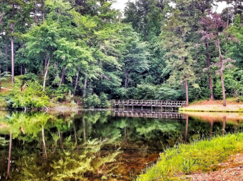 A serene pond surrounded by lush green trees, with a wooden bridge reflecting in the calm water.