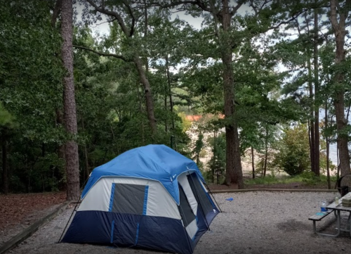 A blue and gray tent set up in a wooded campsite with trees and a gravel ground.