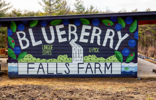 Colorful mural on a farm building reads "Blueberry Falls Farm" with illustrations of blueberries and greenery.
