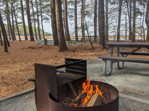 A fire pit with flames surrounded by trees and a picnic table near a beach.