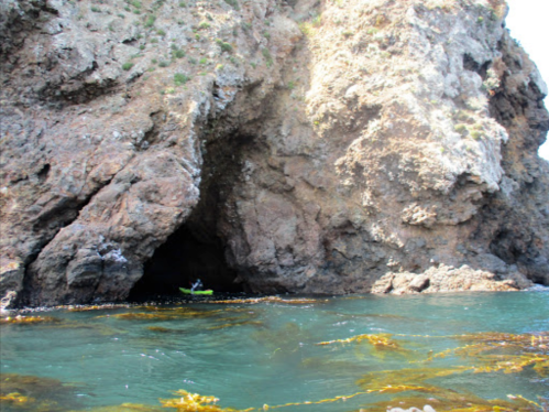 A kayaker approaches a rocky cave along a coastal shoreline, with clear blue water and seaweed visible.