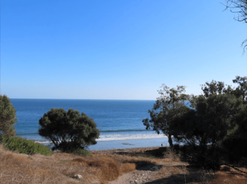 A serene beach scene with gentle waves, trees, and a clear blue sky.
