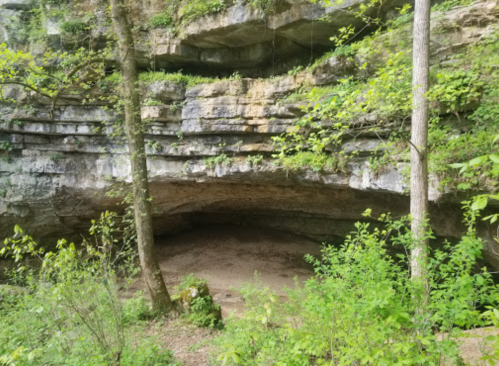 A rocky cave entrance surrounded by lush greenery and trees in a natural setting.
