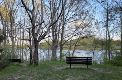 Two benches by a serene lake, surrounded by trees and greenery under a clear blue sky.