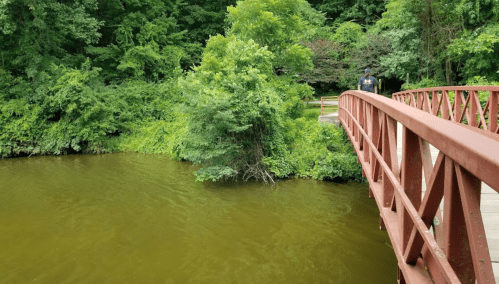 A red bridge spans a calm, greenish-brown river surrounded by lush trees and foliage.