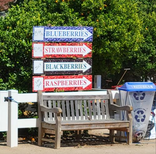 A wooden bench in front of colorful signs for blueberries, strawberries, blackberries, and raspberries at a market.