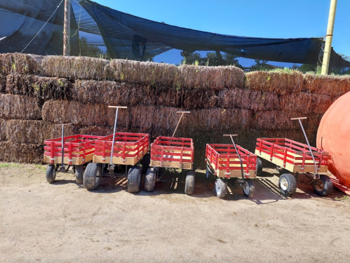 Five red farm wagons lined up on a dirt path, with a haystack and blue sky in the background.
