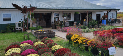 A flower shop with colorful mums in front, a metal owl sculpture, and a green building in the background.