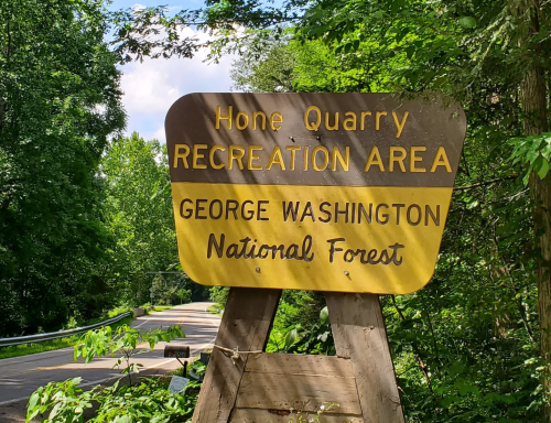 Sign for Hone Quarry Recreation Area in George Washington National Forest, surrounded by lush greenery.
