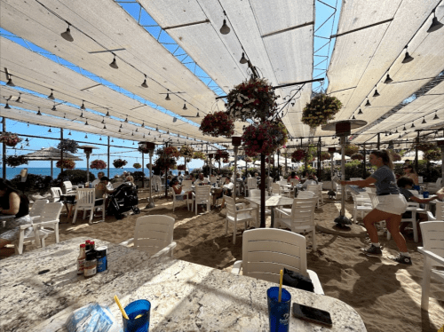 A beachside restaurant with tables, hanging plants, and patrons enjoying their meals under a shaded canopy.