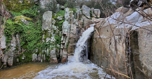 A small waterfall cascades over rocky terrain, surrounded by lush greenery and moss.