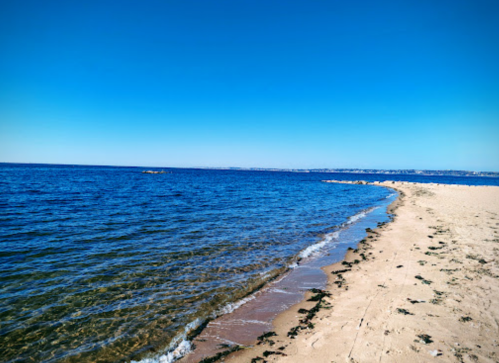 A serene beach scene with clear blue water, a sandy shore, and a cloudless sky.