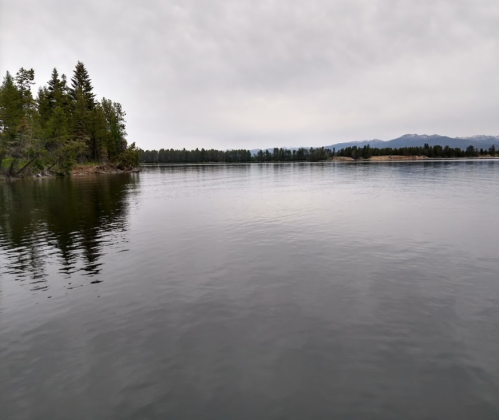 A calm lake surrounded by trees under a cloudy sky, reflecting the landscape on its smooth surface.