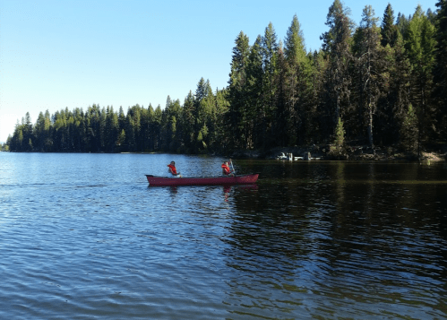 Two people paddle a red canoe on a calm lake surrounded by tall green trees under a clear blue sky.