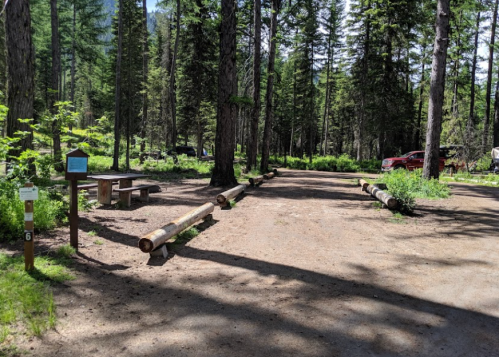 A forested campsite with log benches, a sign, and a dirt path surrounded by tall trees and greenery.