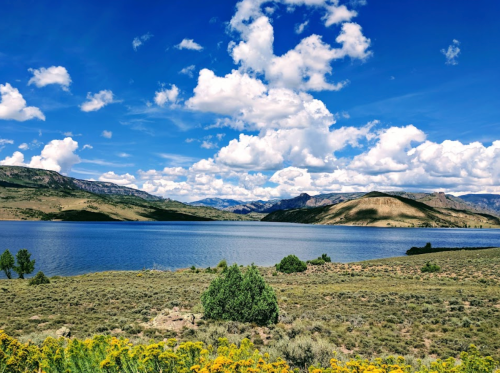 A serene landscape featuring a calm lake, rolling hills, and a bright blue sky with fluffy clouds. Wildflowers in the foreground.
