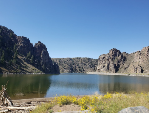 A serene lake surrounded by rocky cliffs and greenery under a clear blue sky. Wildflowers bloom in the foreground.