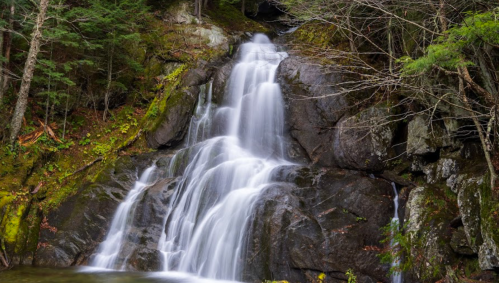 A serene waterfall cascading over rocks, surrounded by lush greenery and trees.