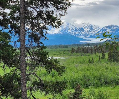 A scenic view of mountains with snow caps, lush green fields, and a lake under a cloudy sky. Pine trees in the foreground.