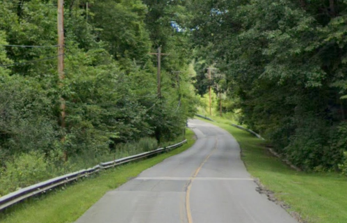 A winding road surrounded by lush green trees and grass, with utility poles lining the side.