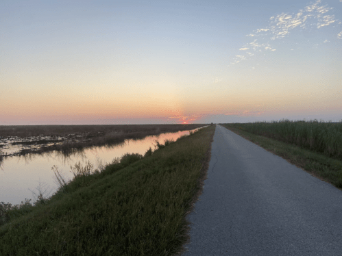 A serene road beside a calm waterway at sunset, with lush greenery on either side and a colorful sky.