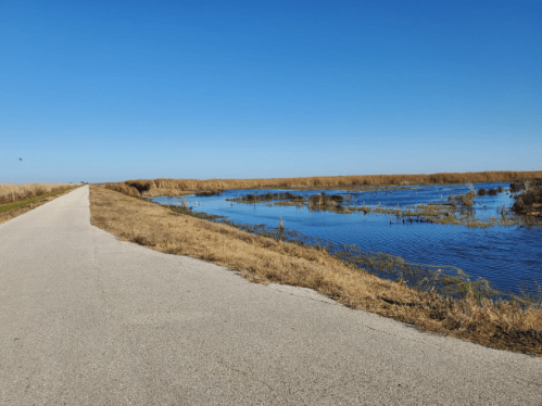 A paved road beside a calm waterway, with tall grasses and a clear blue sky in the background.