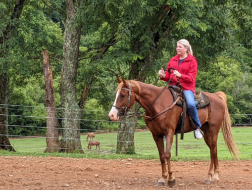 A person in a red jacket rides a brown horse in a grassy area with trees and other horses in the background.
