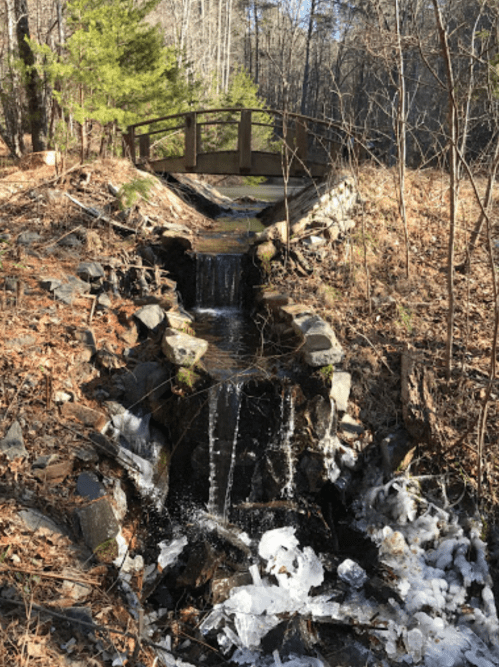 A small waterfall flows over rocks beneath a wooden bridge, surrounded by trees and fallen leaves in a serene forest setting.