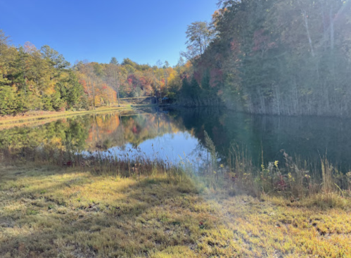 A serene lake surrounded by colorful autumn trees under a clear blue sky. Reflections shimmer on the water's surface.