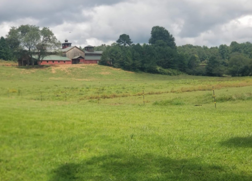 A scenic view of a green field with a red barn and trees under a cloudy sky.
