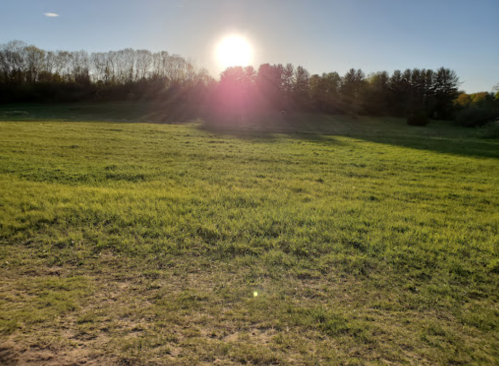 A sun setting over a lush green field, with trees in the background and a clear blue sky.