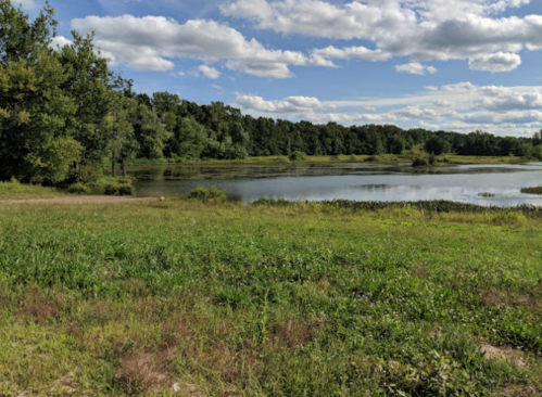 A serene landscape featuring a calm pond surrounded by lush greenery and trees under a partly cloudy sky.