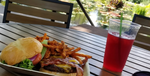 A burger with bacon and cheese, sweet potato fries, and a drink on a table by a serene pond with lily pads.