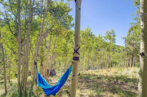 A blue hammock is suspended between two trees in a sunny forest clearing surrounded by green foliage.