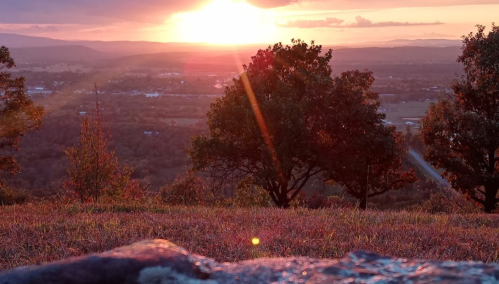 A vibrant sunset over rolling hills, with trees silhouetted in the foreground and warm colors illuminating the sky.