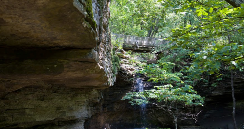 A serene forest scene featuring a waterfall cascading down rocks, with a wooden bridge above surrounded by lush greenery.