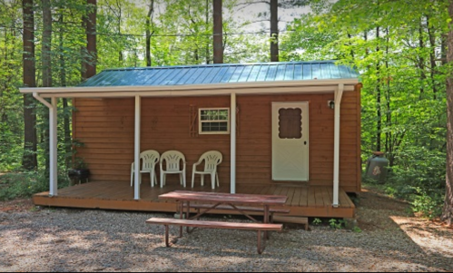 A small wooden cabin with a metal roof, surrounded by trees, featuring a porch and picnic table.