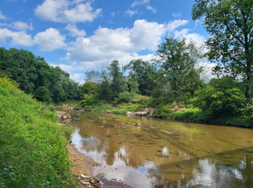 A serene river scene with clear water, lush greenery, and a blue sky dotted with clouds.