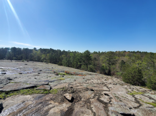 A rocky landscape under a clear blue sky, surrounded by lush green trees in the distance.