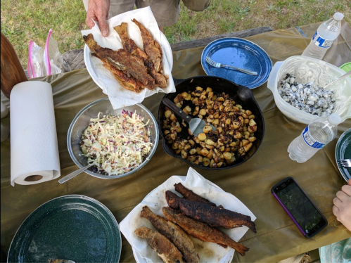 A picnic table spread with fried fish, roasted potatoes, coleslaw, and drinks, set in a natural outdoor setting.