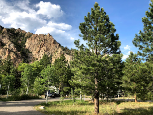 A scenic view of tall pine trees with rocky cliffs and a blue sky in the background.