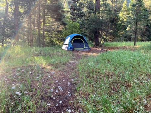 A blue tent set up in a grassy clearing surrounded by trees in a forested area.