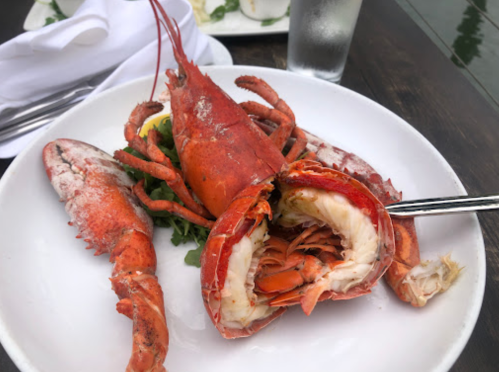 A plate with a whole lobster and lobster claws on a bed of greens, with a fork resting beside it.