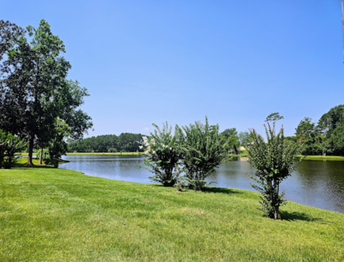 A serene lake surrounded by lush green grass and trees under a clear blue sky.