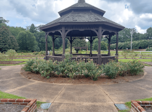 A wooden gazebo surrounded by rose bushes in a landscaped garden, with a cloudy sky above.