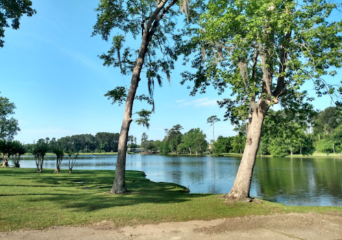 A serene lake surrounded by trees and greenery under a clear blue sky.