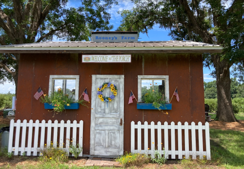A rustic farm stand with a white picket fence, decorated with sunflowers and flags, under a blue sky.