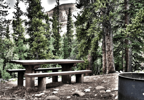 A rustic picnic table surrounded by tall trees in a forested area, with a fire pit nearby.
