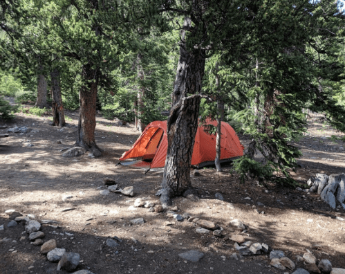 An orange tent set up in a forest clearing surrounded by tall trees and rocky ground.