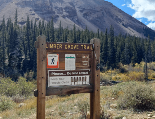 Sign for Limber Grove Trail with hiking information and a reminder to keep forests clean, surrounded by trees and mountains.